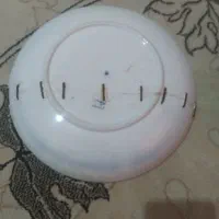 ظروف کلکسیونی|کلکسیون اشیاء عتیقه|پرند, فاز ۶|دیوار