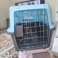 باکس نو مخصوصا سگ و گربه