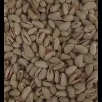 در زمینه ی صادرات پسته کمک میخوام