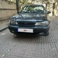 دوو سیلو ۸۱