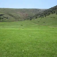 گوسفند-چراگاه-ییلاقی-و-قشلاقی-آماده