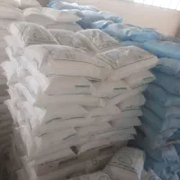 دام داری   و گاو داری