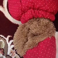 سرهمی نوزاد|اسباب و اثاث بچه|الیگودرز, |دیوار