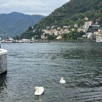 استخدام بهداشت محیط خانم