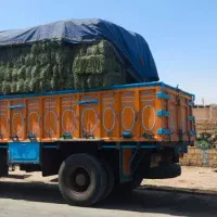 یونجه مرغوب و باکیفیت  فی 28|حیوانات مزرعه|احمدآبادمستوفی, |دیوار