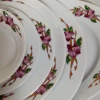 ظروف غذاخوری و فنجان چایی خوری شیک (ژاپن)|ظروف سرو و پذیرایی|نیشابور, مدرس|دیوار