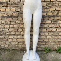 پا مانکن جنیفری