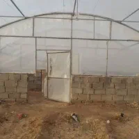 سازه گلخانه 1100 متر|مصالح و تجهیزات ساختمان|دزفول, |دیوار