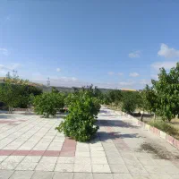 مشارکت سرمایه گذاری در تولیدی ،کارگاهی ...|مشارکت در ساخت املاک|تبریز, |دیوار