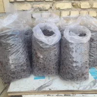 الو خورشتی|خوردنی و آشامیدنی|بشاریات, |دیوار