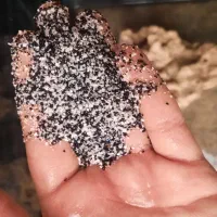 آکواریوم ۳۳۶لیتر|ماهی|پردیس, فاز ۸|دیوار