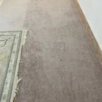 موکت|موکت|خرمآباد, |دیوار