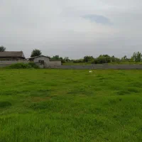 8پلاک زمین سرمایه گذاری سه پلاک موجود|فروش زمین و ملک کلنگی|خشکبیجار, |دیوار