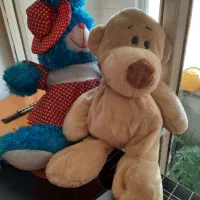 دوتا عروسک ۱۵۰تومن