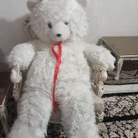 خرس شاخسین بزرگ نو