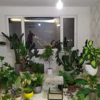 آپارتمان فروشی برج پارسیان|فروش آپارتمان|مشهد, شهید رضوی|دیوار