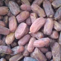 خرما|حراج|حاجی آباد, |دیوار