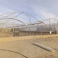 جوشکاری و نصب انواع گلخانه خانگی و صنعتی|خدمات پیشه و مهارت|زابل, |دیوار