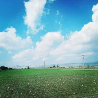 فروش ۱۲ هکتار زمین کشاورزی منوجان چاهشاهی