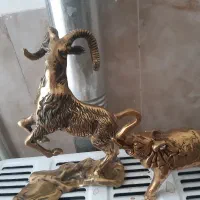 حیوانات برنجی