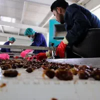 استخدام کارگر ساده  (فقط آقا)