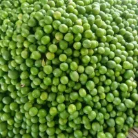 لیمو ترش آبدار درجه یک