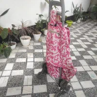 چرخ سبد خرید