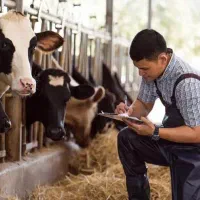 کارشناس علوم دامی