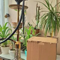 قلیون ترکی اصل