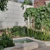 اجاره‌ سوئیت اپارتمان سوییت|اجارهٔ کوتاه‌مدت آپارتمان و سوئیت|چهارباغ, |دیوار