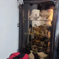 بوفه با وسایلاش فروشیه