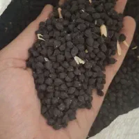 نخودسیاه حدود۵۰۰کیلو