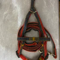 قلاده نونو|لوازم جانبی حیوانات|اصفهان, میرعماد|دیوار