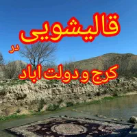 کارخانه قالیشویی و مبل شویی بام کرج