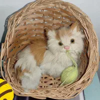 عروسک   عروسک گربه