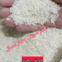 برنج فجر سوزنی معطر درجه اعلا