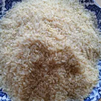 لوبیا چیتی و برنج کامفیروز|خوردنی و آشامیدنی|یزد, |دیوار
