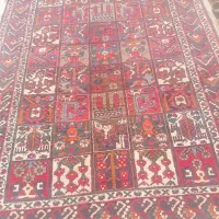 دو تخته فرش دستباف بی بی باف اردل|فرش|شهرکرد, |دیوار