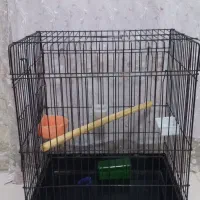 فروشی|لوازم جانبی حیوانات|سرپل ذهاب, |دیوار