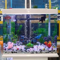 آکواریوم مرکزی خلیج فارس|ماهی|یاسوج, |دیوار