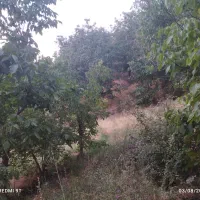 فروش-باغ-در-روستای-کیوان-جاده-کشتارگاه