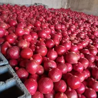 انار کله (درشت)