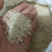 برنج طارم هاشمی