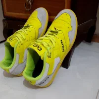 کتونی دبل در حدنو