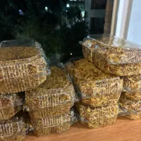 پخش پیاز داغ اعلا