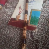 نی هفتبندجنس نی کویری  دومهرباسوخنه نگاری