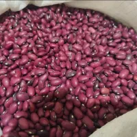 لوبیا قرمز تازه