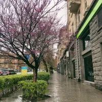 فروش زمین کارگاهی شهرک گچی