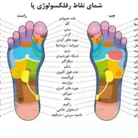 آچار کشی بدن ،حمام ترکی، حمام سنتی اختصاصی|خدمات آرایشگری و زیبایی|مشهد, هفده شهریور|دیوار