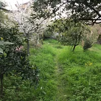 فروش خانه ویلایی هزار متری شیرگاه|فروش خانه و ویلا|شیرگاه, |دیوار